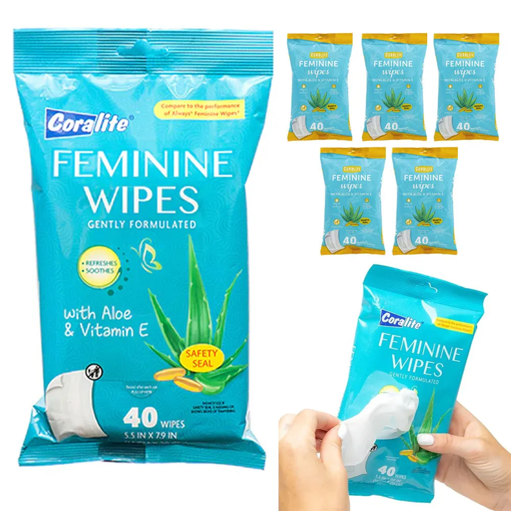 240ct Gentle Daily Feminine Wipes 6pk Wet Cleansing Cloths Moist Vitamin E Aloe