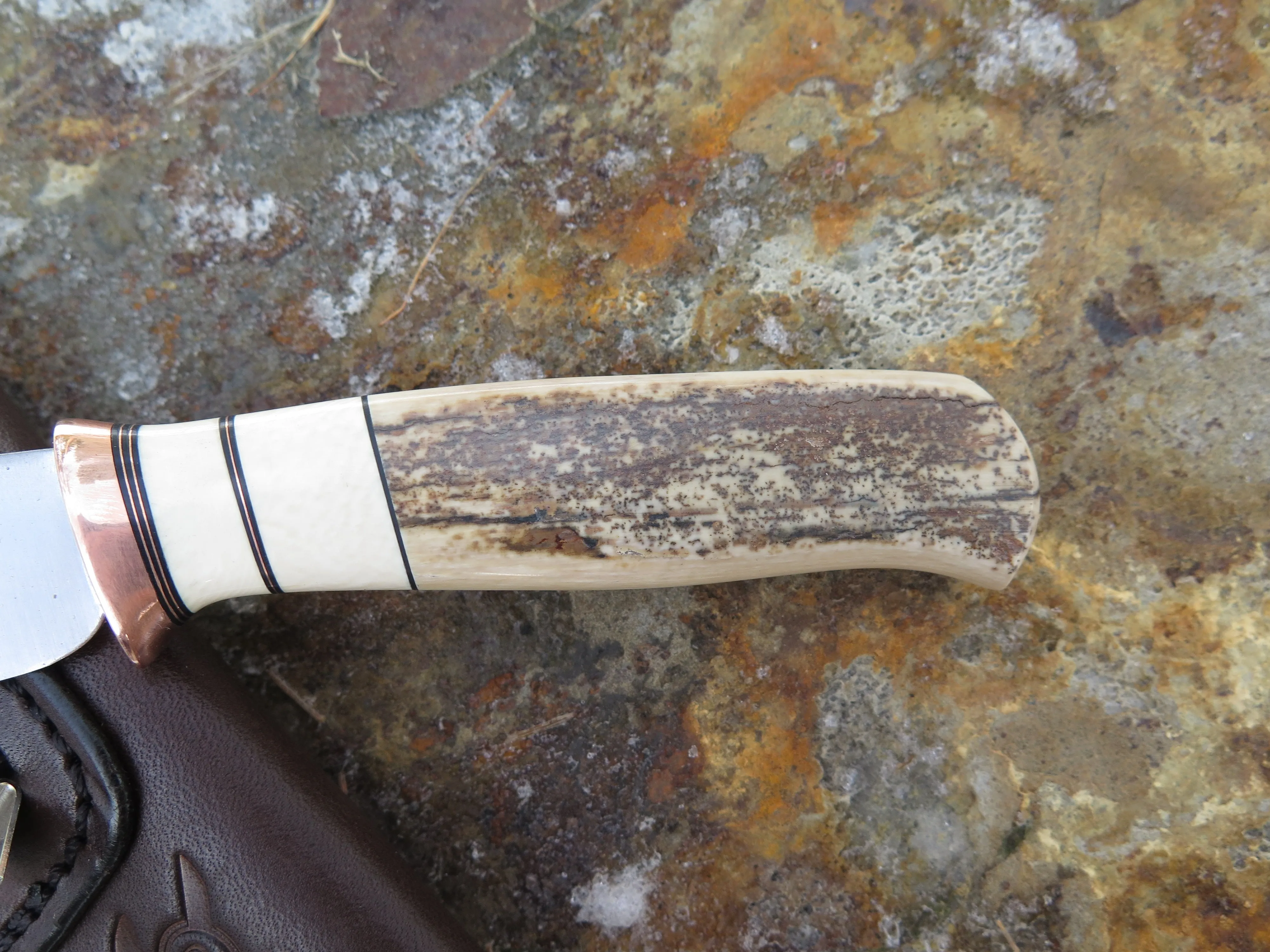 Ancient Mammoth Canoe Pocket