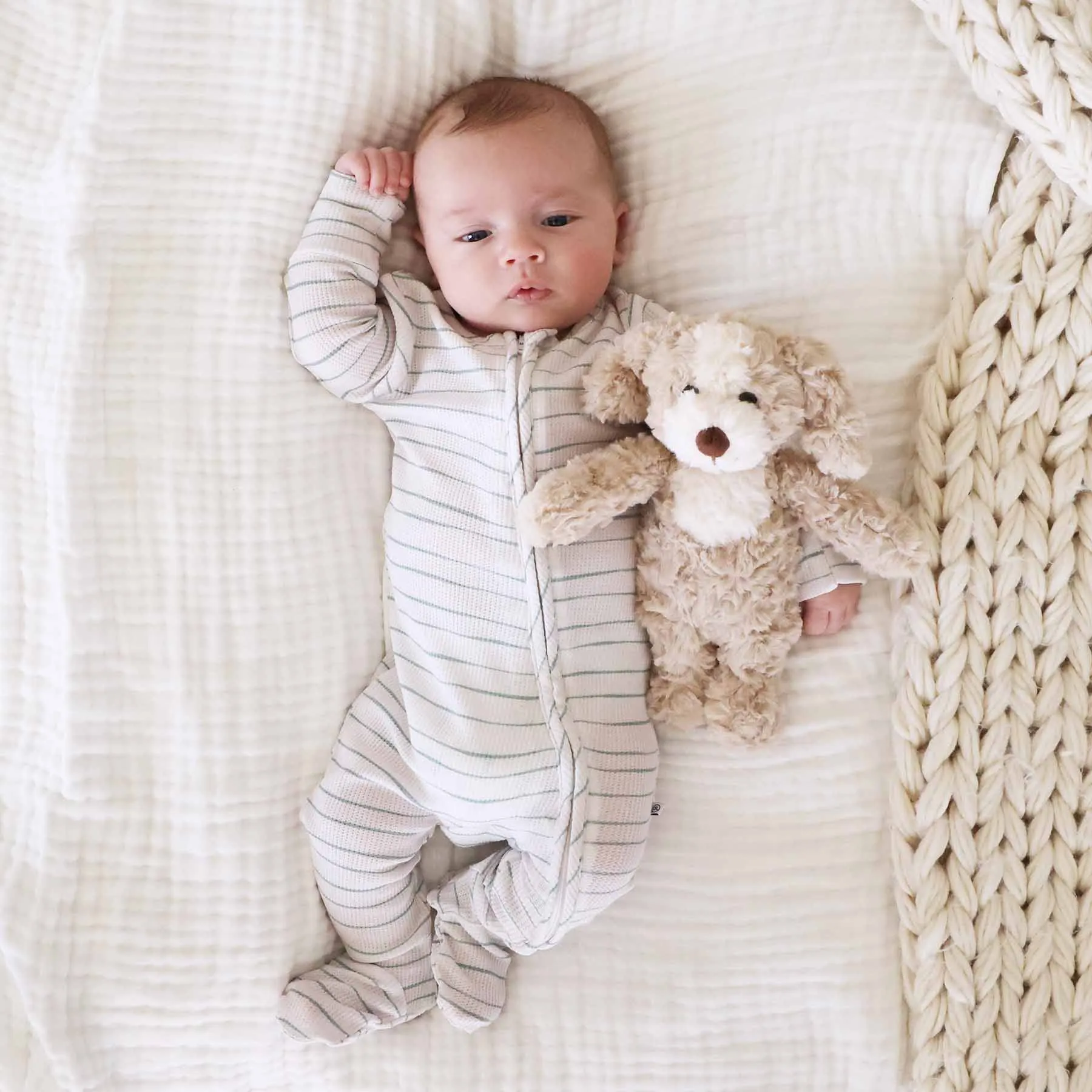 Cuddle Plush Friends | Parker Puppy
