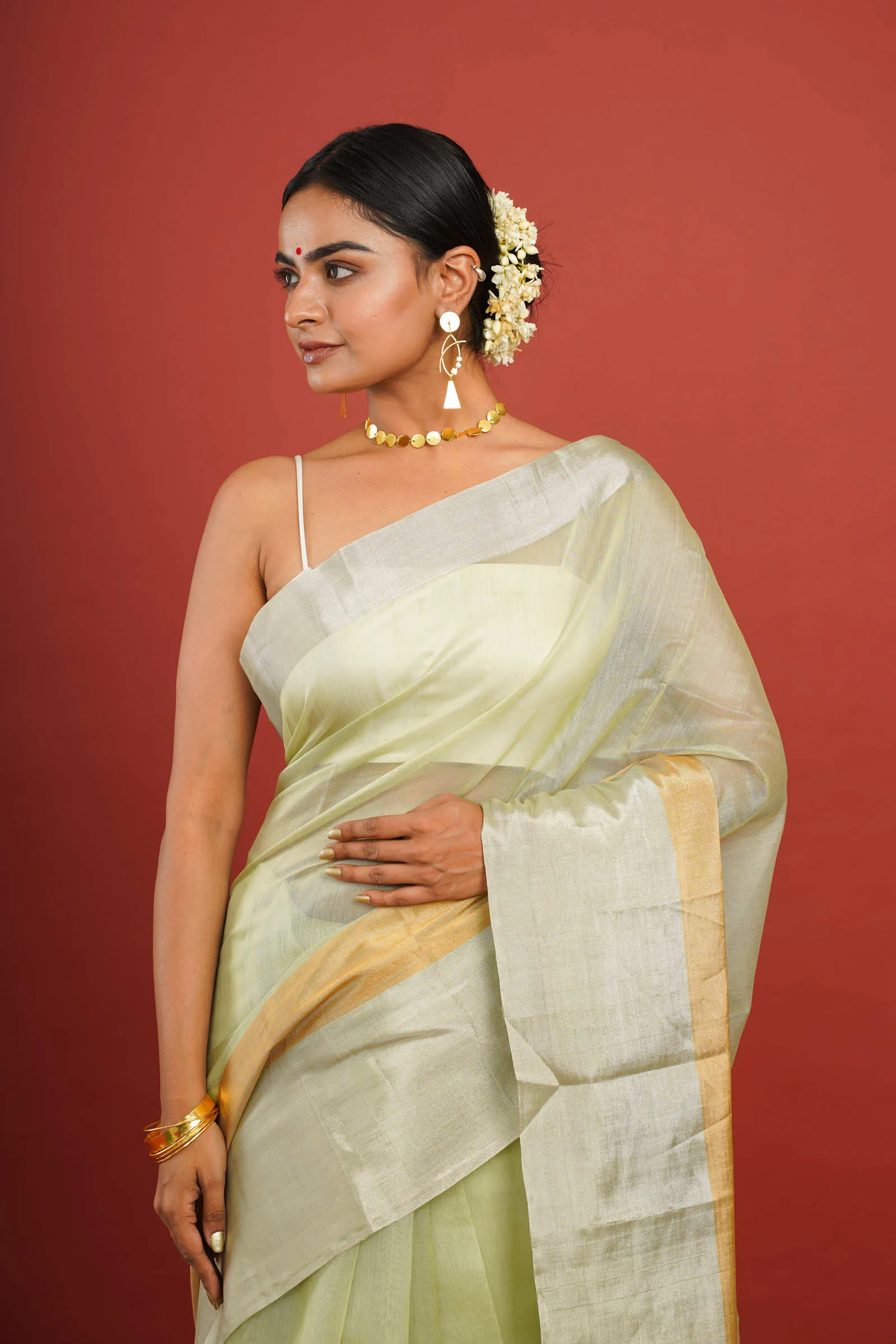 Pastel Green Cotton Silk Chanderi Saree with Dual Border