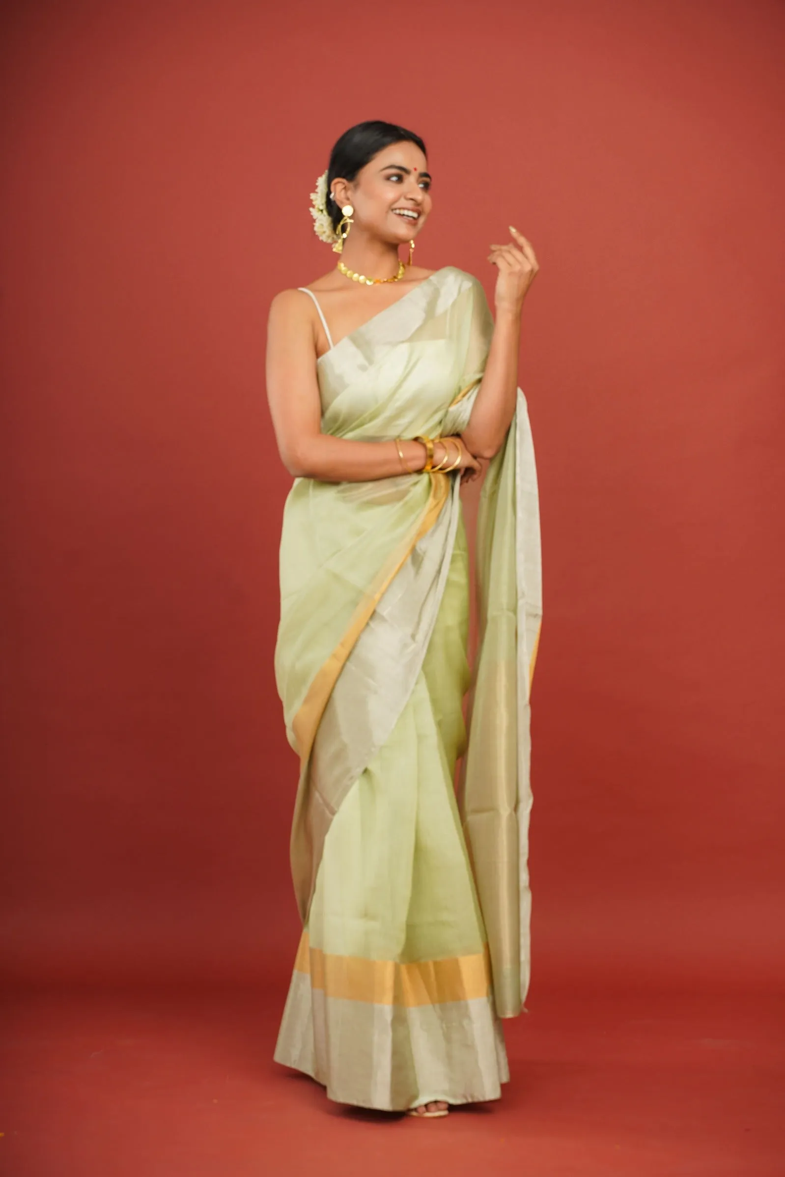 Pastel Green Cotton Silk Chanderi Saree with Dual Border