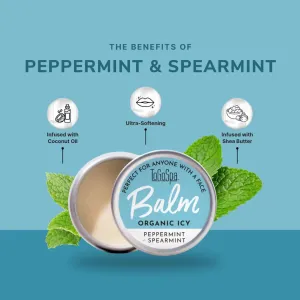 ToGoSpa Organic Icy Lip Balm (Peppermint & Spearmint)